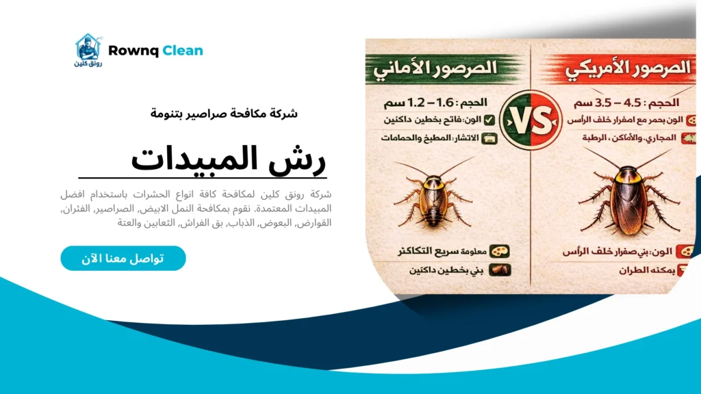 أنواع الصراصير المنزلية في تنومة (الألماني والأمريكي) والفرق بينهما - رونق كلين