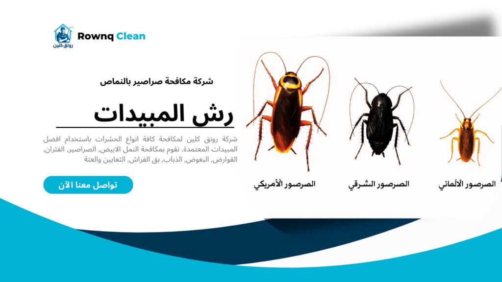 أنواع الصراصير المنزلية الشائعة في السعودية - الفرق بين الصرصور الألماني والأمريكي