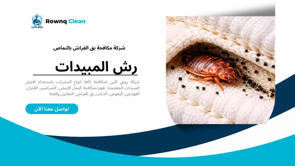 شكل حشرة الكتن أو بق الفراش وهي تختبئ في ثنايا المرتبة