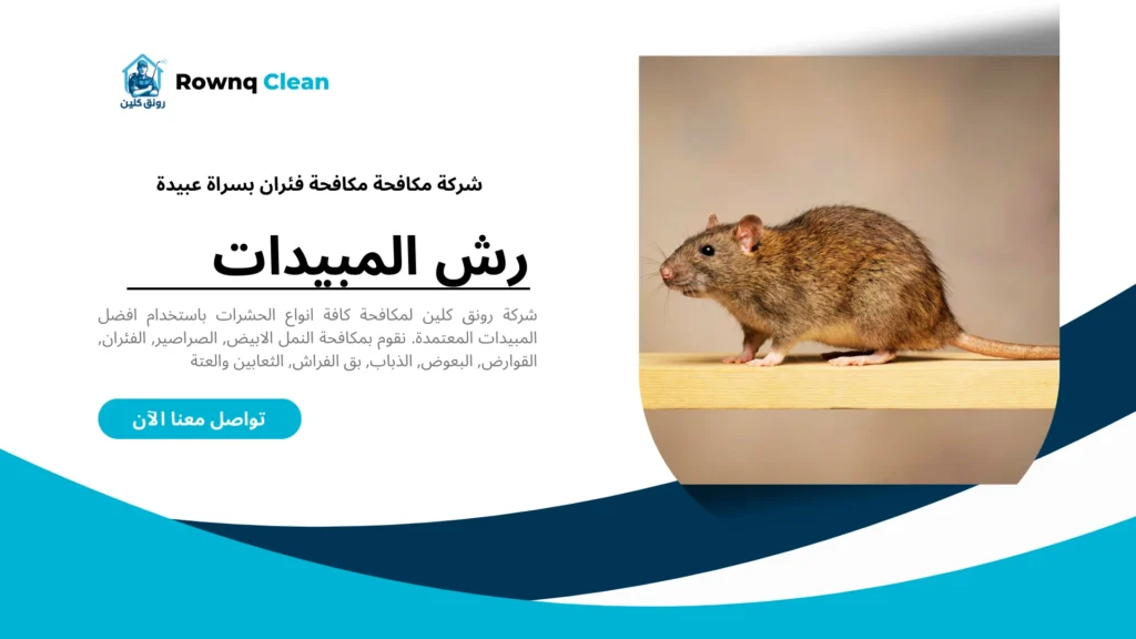 انواع الفئران والجرذان المنتشرة في السعودية