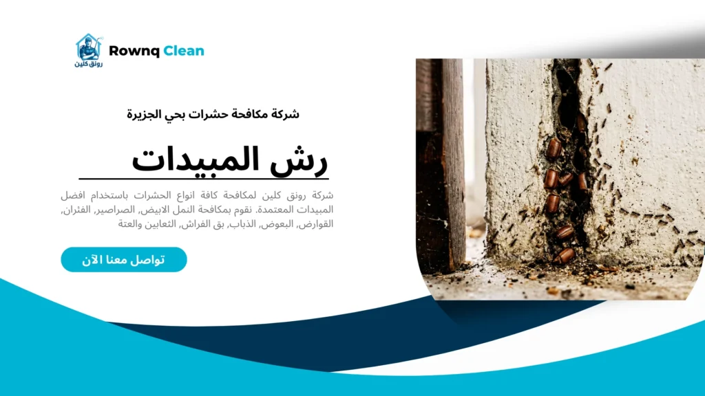 علامات وجود حشرات مخفية في المنزل