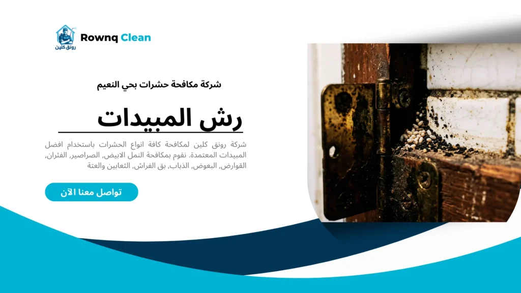 علامات وجود بيوض صراصير في مطابخ حي النعيم.