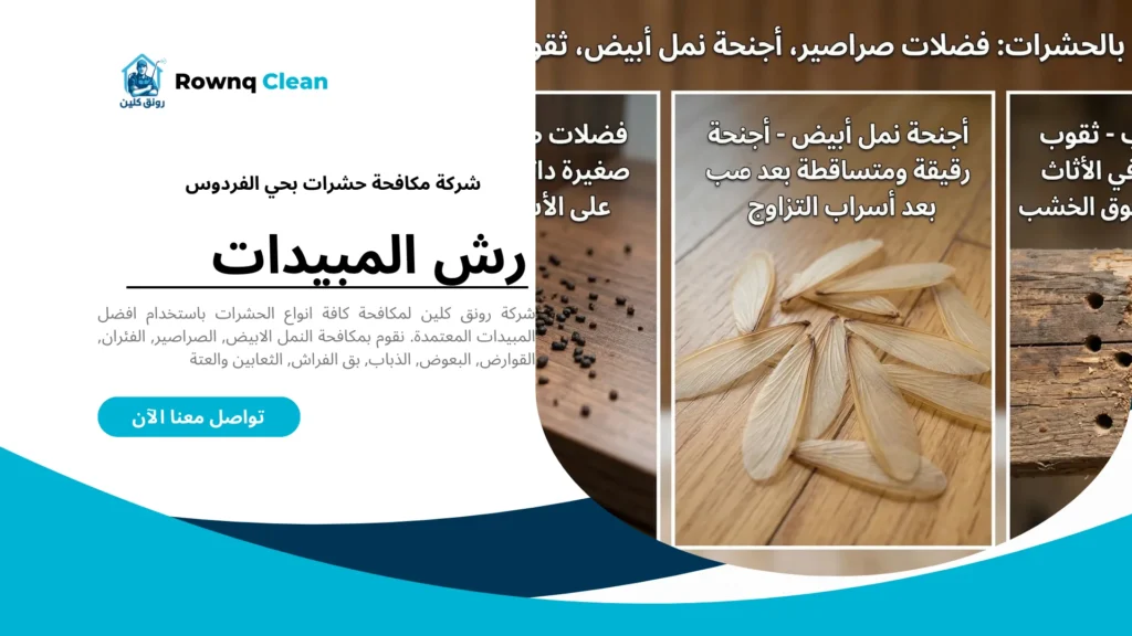 علامات وجود نمل أبيض وصراصير في منازل الدمام