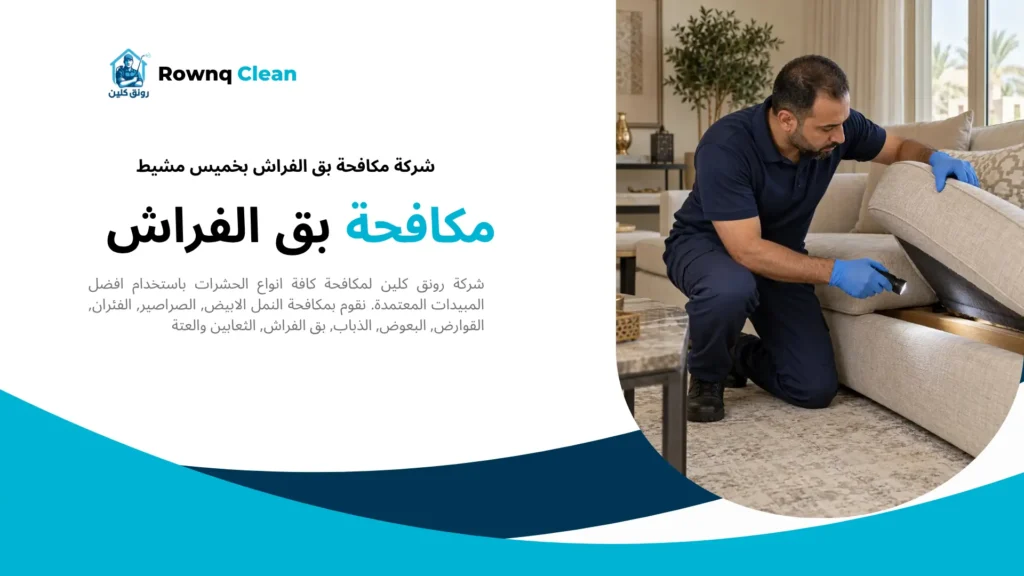 فحص خياطات الكنب وأسفل وسادة الجلوس لتحديد مواضع بق الفراش.
