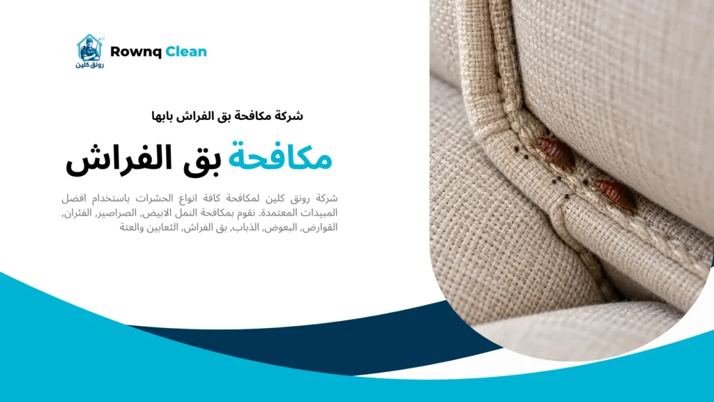 بق الفراش وبقع داكنة بين ثنيات تنجيد الكنب