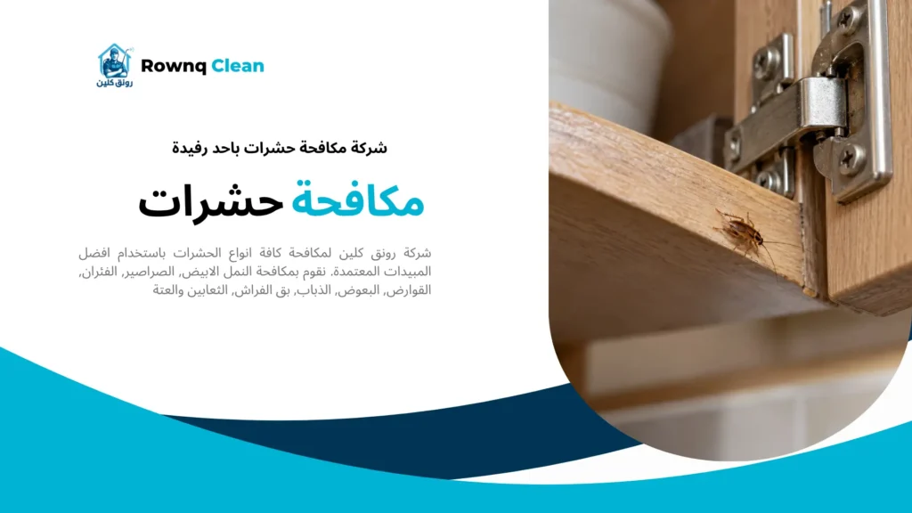 صرصور ألماني بجوار مفصلة خزانة مطبخ خشبية