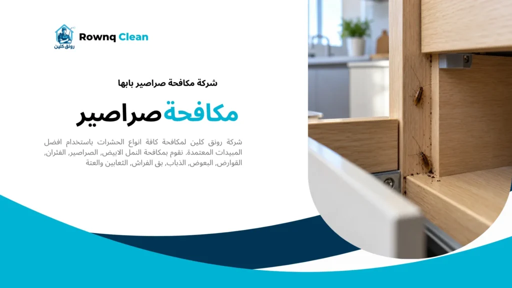 صراصير صغيرة وآثار نشاط عند فاصل خزانة مطبخ