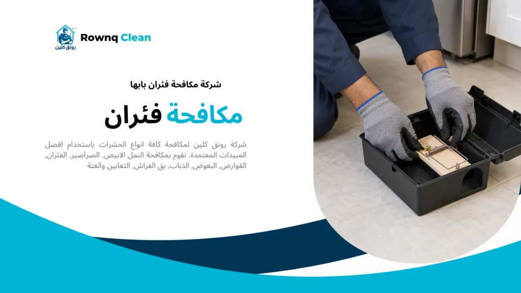 تجهيز مصيدة ميكانيكية داخل صندوق حماية ضمن خدمات شركة مكافحة فئران بابها