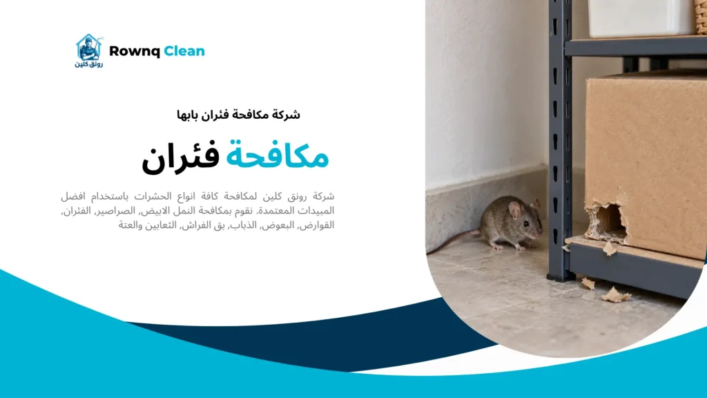 آثار قضم الفئران على عبوة كرتونية بجوار فأر قرب رف تخزين