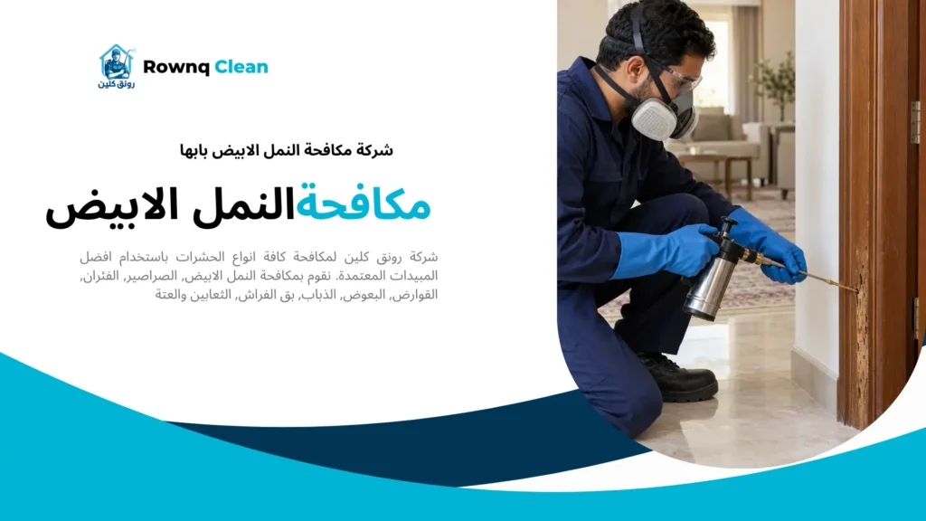 تطبيق معالجة موضعية للنمل الابيض عبر فتحة في حلق باب خشبي.