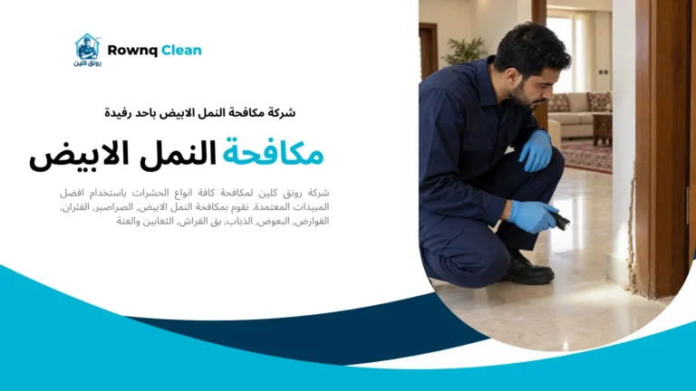 فحص أنفاق الأرضة عند قاعدة باب خشبي لمكافحة النمل الأبيض بأحد رفيدة.