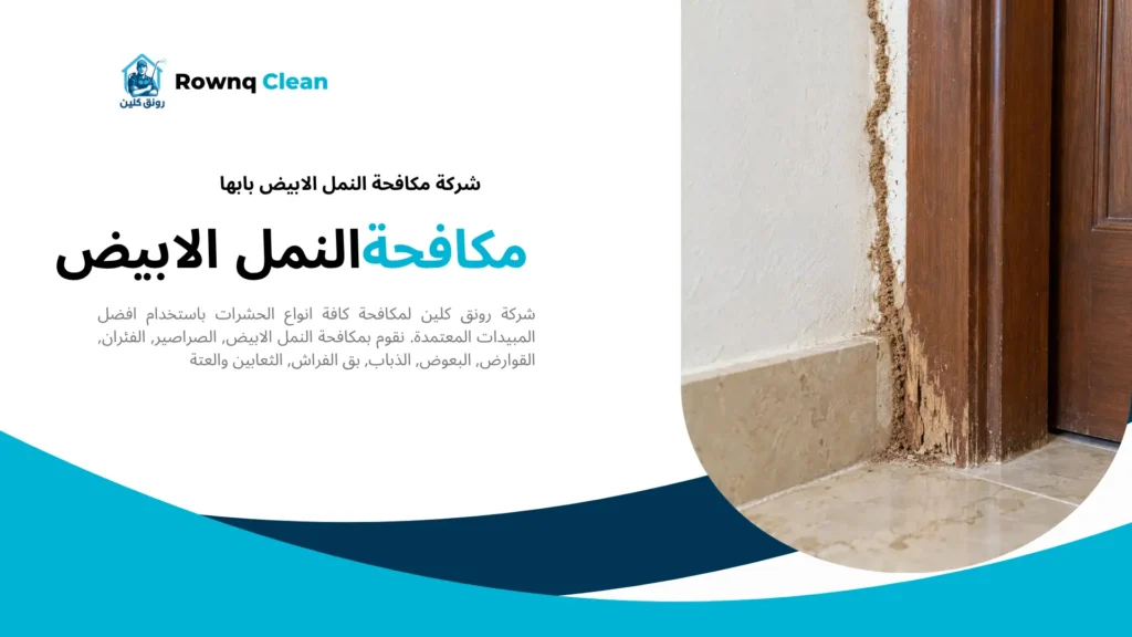 مسار طيني للأرضة بجوار حلق باب خشبي متضرر قرب الأرضية.
