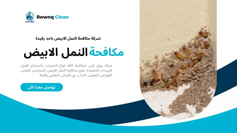 رش النمل الابيض باحد رفيدة