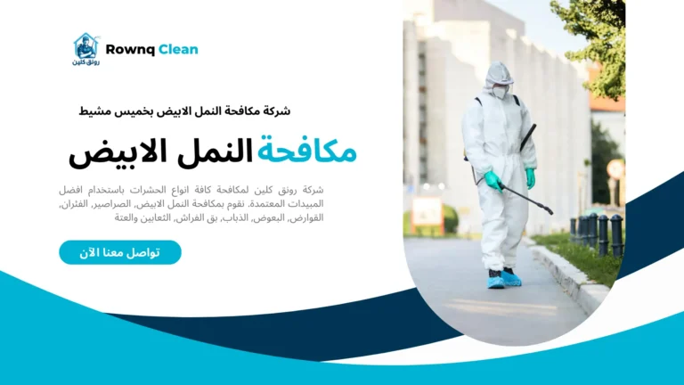 رش النمل الابيض بخميس مشيط