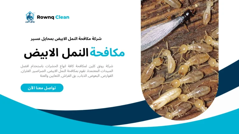 شركات مكافحة النمل الأبيض بمحايل عسير