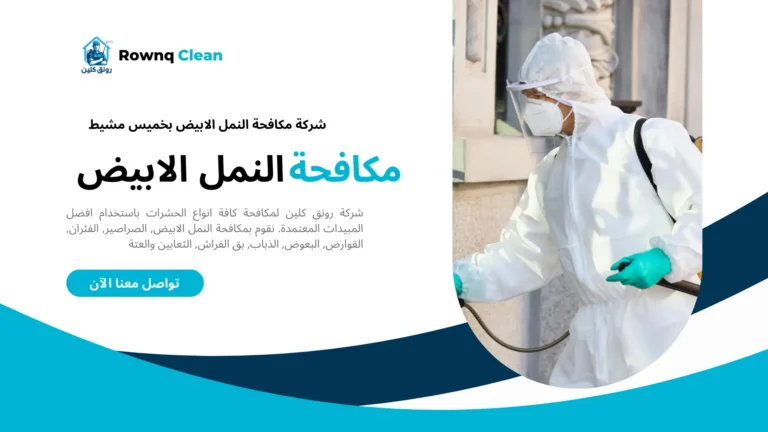 شركات مكافحة النمل الابيض بخميس مشيط