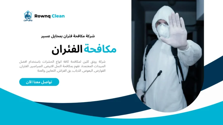 شركات مكافحة فئران بمحايل عسير شركات مكافحة فئران بمحايل عسير