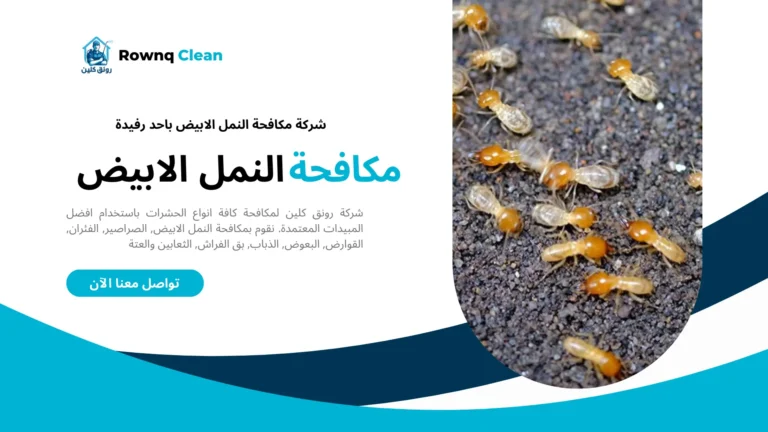 شركة مكافحة النمل الابيض باحد رفيدة