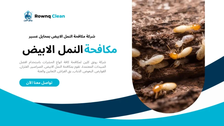 شركة مكافحة النمل الابيض بمحايل عسير