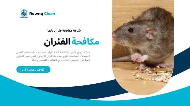 شركة مكافحة فئران بابها