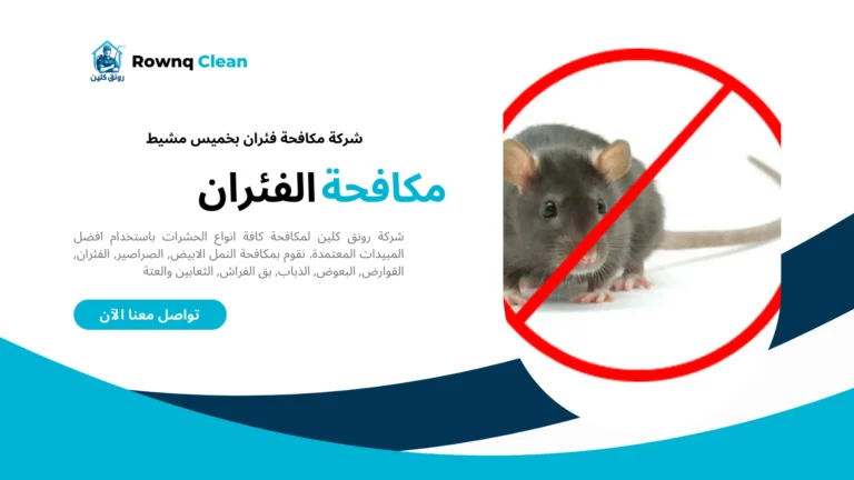 شركة مكافحة فئران بخميس مشيط