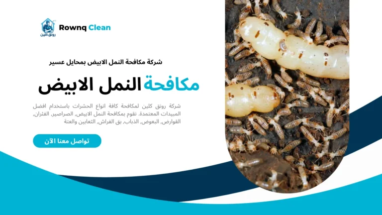 مكافحة النمل الأبيض بمحايل عسير