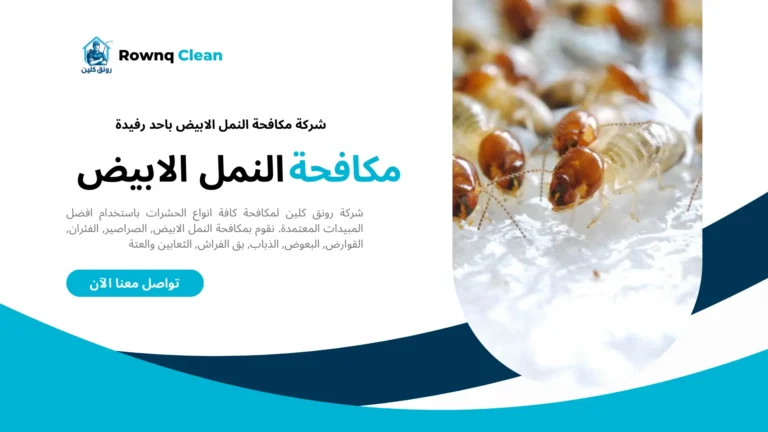 مكافحة النمل الابيض باحد رفيدة