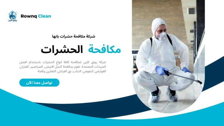 شركة رش مبيدات بابها مكافحة حشرات بابها