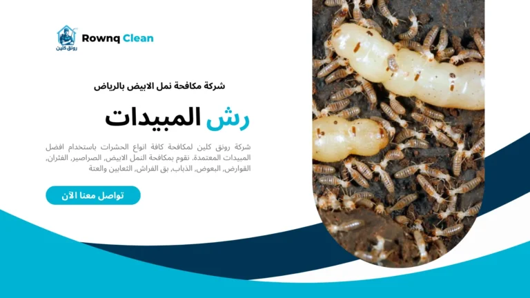 شركة مكافحة النمل الابيض بالرياض