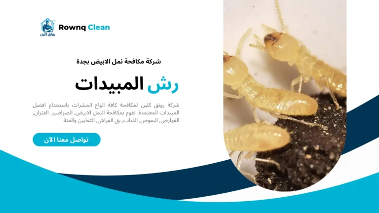 افضل شركة مكافحة النمل الابيض بجدة افضل شركة مكافحة النمل الابيض بجدة