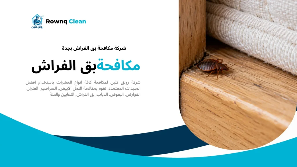 بق فراش يختبئ داخل فاصل في إطار سرير خشبي.